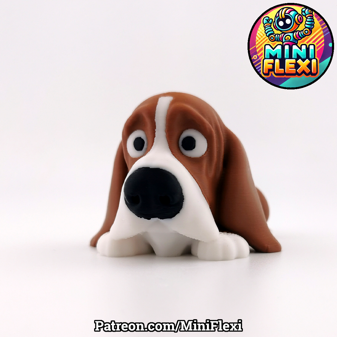 Basset Picture 1